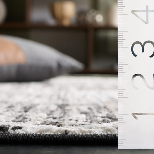 Safavieh Mila 4'-0" x 6'-0" Rug in Ivory / Black