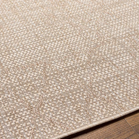 Surya Eagean Eag-2402 Light Beige, Cream, Brown, Light Brown Area Rug