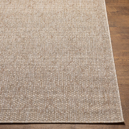 Surya Eagean Eag-2404 Brown, Light Brown, Cream, Light Beige, Beige Area Rug