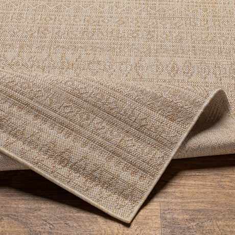 Surya Eagean Eag-2411 Light Beige, Cream, Light Brown, Brown Rug.