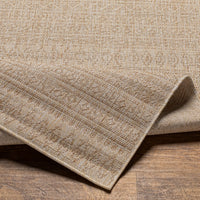 Surya Eagean Eag-2411 Light Beige, Cream, Light Brown, Brown Area Rug