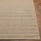Surya Eagean Eag-2411 Light Beige, Cream, Light Brown, Brown Rug.