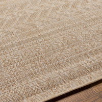 Surya Eagean Eag-2411 Light Beige, Cream, Light Brown, Brown Area Rug