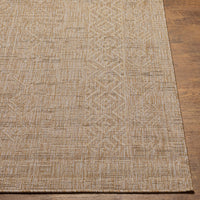 Surya Eagean Eag-2412 Light Beige, Light Brown, Cream, Brown Area Rug