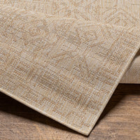 Surya Eagean Eag-2415 Cream, Light Beige, Brown, Light Brown Area Rug