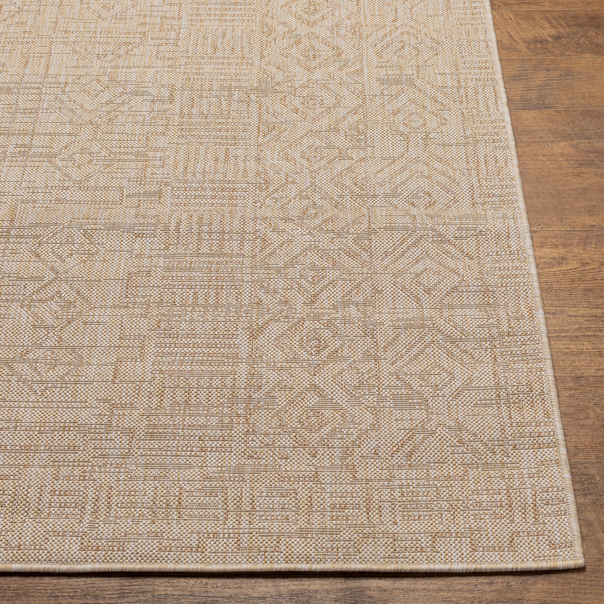 Surya Eagean Eag-2415 Cream, Light Beige, Brown, Light Brown Area Rug