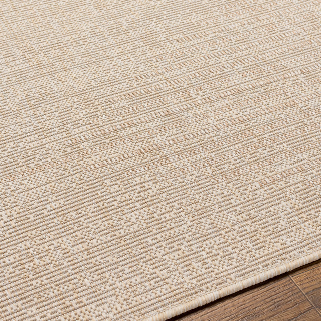 Surya Eagean Eag-2419 Cream, Light Beige, Brown, Light Brown Rug.