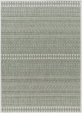 Surya Eagean Eag-2425 Grass Green, Ivory, Dark Green, Seafoam Rug.