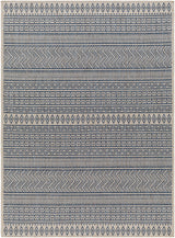Surya Eagean Eag-2428 Navy, Light Beige, Charcoal, Blue, Ice Blue Rug.