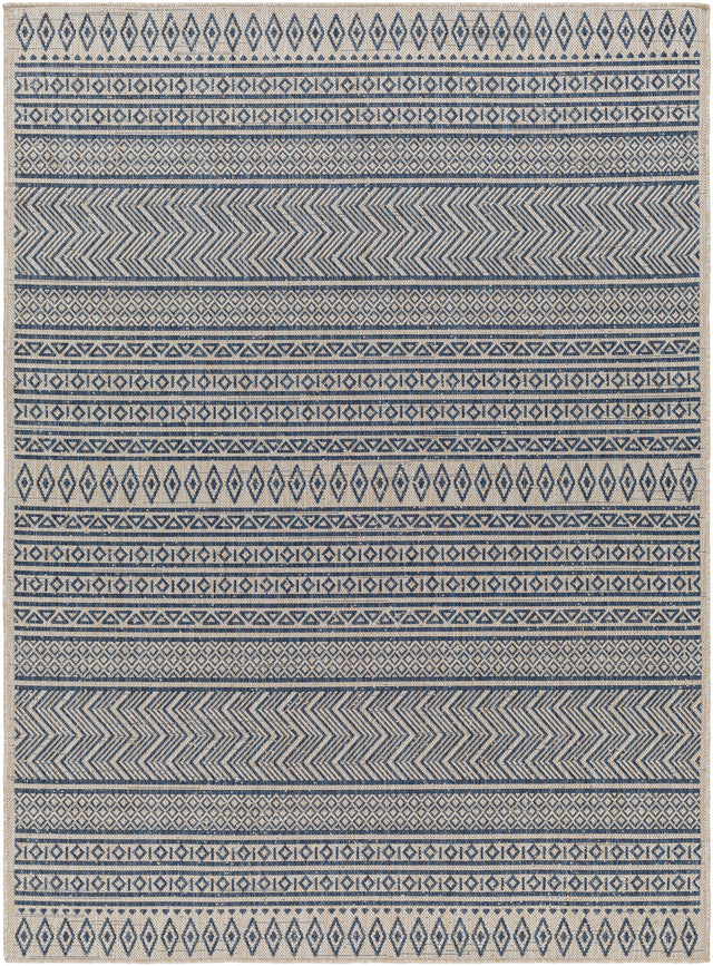 Surya Eagean Eag-2428 Navy, Light Beige, Charcoal, Blue, Ice Blue Rug.