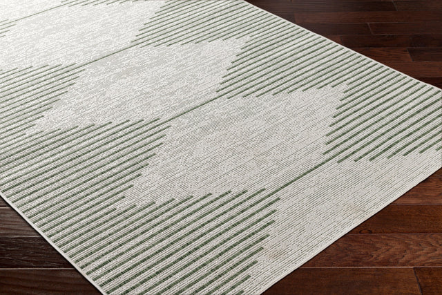 Surya Eagean Eag-2432 Grass Green, Ivory, Dark Green, Seafoam Rug.