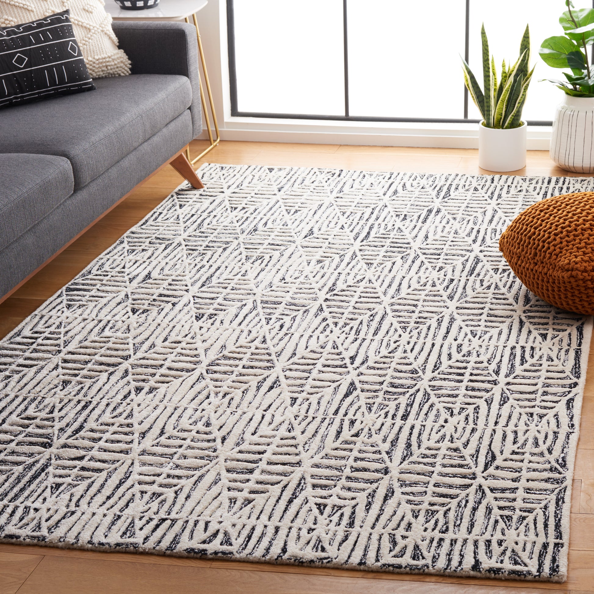 Safavieh Ebony Ebn110Z Black/Ivory Area Rug