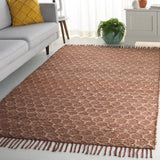 Safavieh Cape Cod 4'-0" x 6'-0" Rug in Rust / Natural