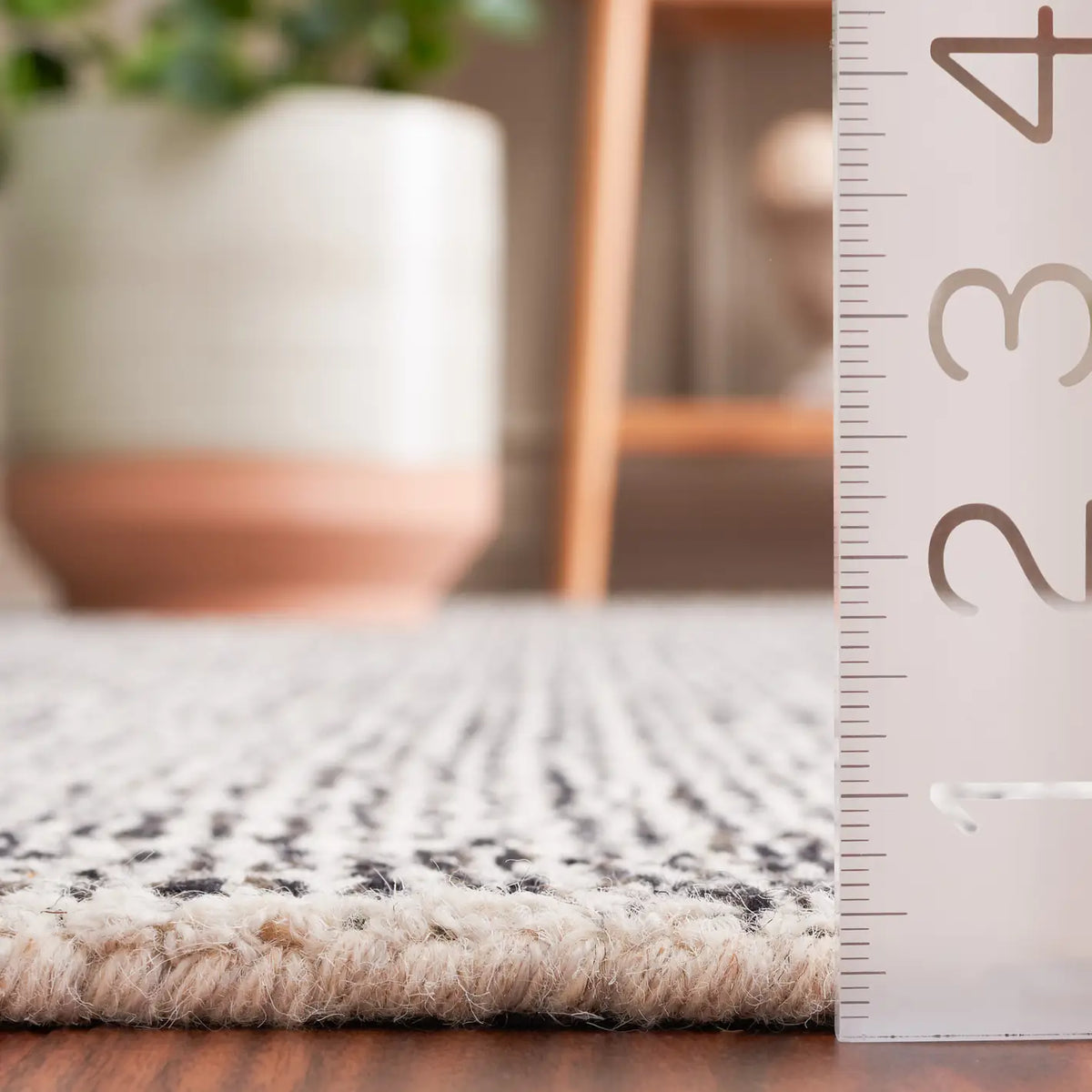 Safavieh Ebony 4'-0" x 6'-0" Rug in Black / Ivory