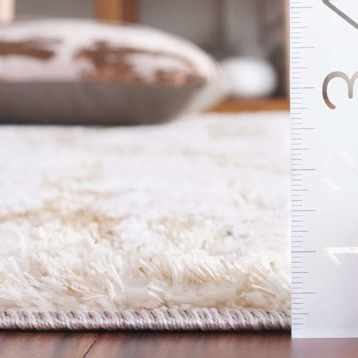 Safavieh Ravine Shag 4'-0" x 6'-0" Rug in Beige / Ivory