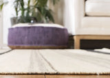 Safavieh Dhurries 5'-0" x 8'-0" Rug in Natural / Grey