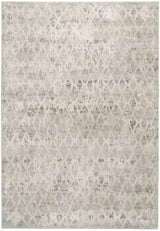 Dynamic Rugs Quartz 27039 Ivory / Silver Rugs - Rectangular
