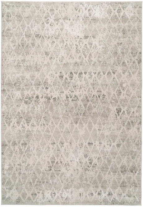 Dynamic Rugs Quartz 27039 Ivory / Silver Rugs - Rectangular