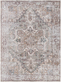 Surya Embrace Ema-2308 Light Beige, Sage, Light Brown, Light Gray, Ivory, Burgandy Area Rug