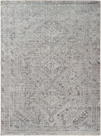 Surya Embrace Ema-2311 Metallic - Silver, Sterling Grey, Sage, Silver, Pale Slate Area Rug