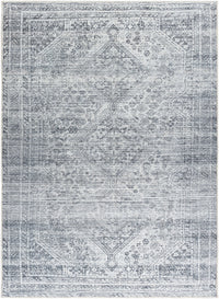 Surya Embrace Ema-2312 Metallic - Silver, Light Grey, Silver, Pewter, Slate Area Rug