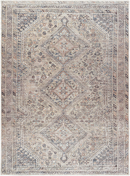 Surya Embrace Ema-2313 Ash, Metallic - Silver, Sage, Light Silver, Pewter Area Rug