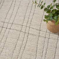 Nourison Andes And03 Ivory Grey Area Rug