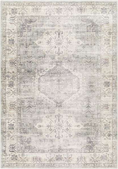 Surya Erin Ern-2317 Light Grey, Light Silver, Warm Grey, Sterling Grey Area Rug