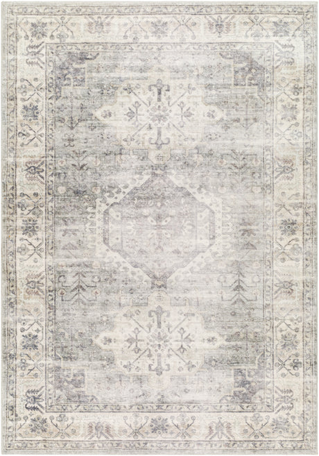 Surya Erin Ern-2317 Light Grey, Light Silver, Warm Grey, Sterling Grey Rug.