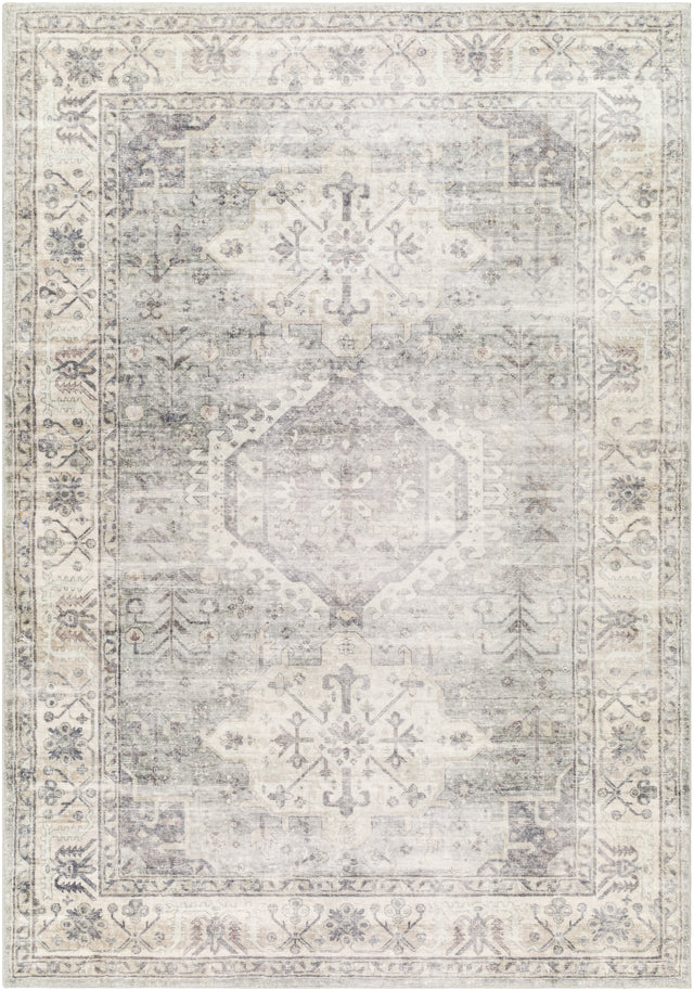 Surya Erin Ern-2317 Light Grey, Light Silver, Warm Grey, Sterling Grey Rug.