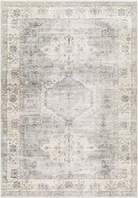 Surya Erin Ern-2317 Light Grey, Light Silver, Warm Grey, Sterling Grey Area Rug