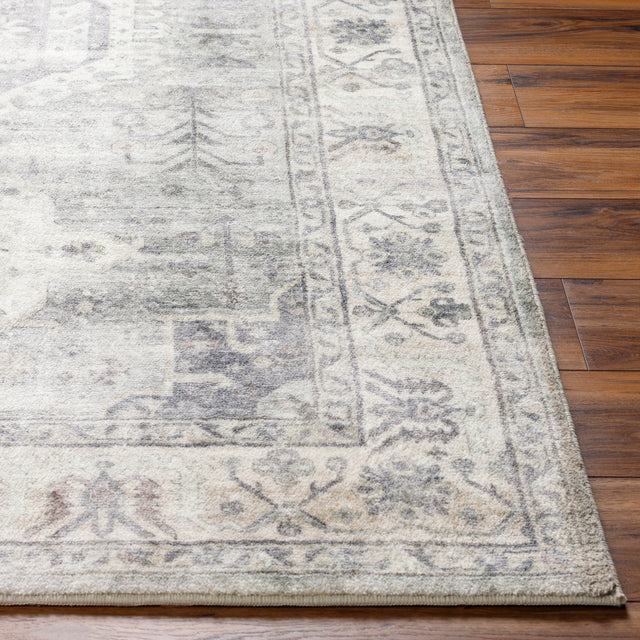 Surya Erin Ern-2317 Light Grey, Light Silver, Warm Grey, Sterling Grey Rug.