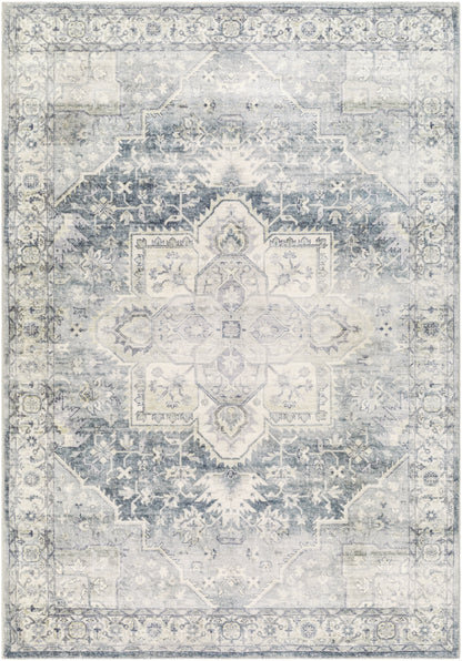 Surya Erin Ern-2318 Silver, Light Grey, Light Silver, Metallic - Silver, Pewter Area Rug