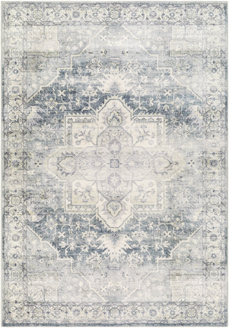 Surya Erin Ern-2318 Silver, Light Grey, Light Silver, Metallic - Silver, Pewter Rug.