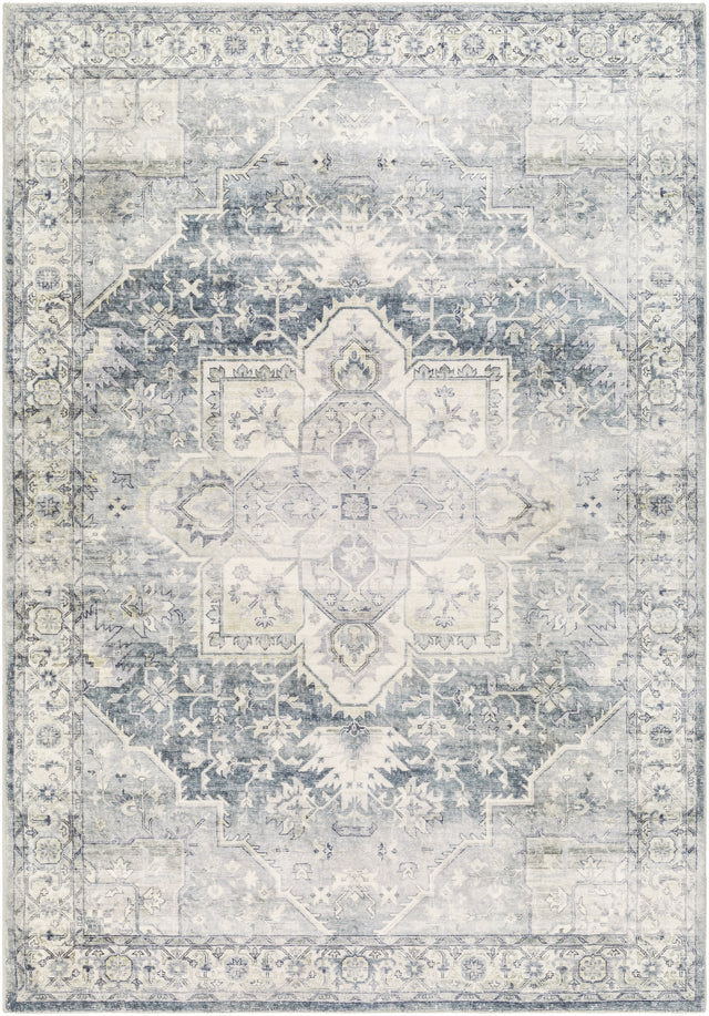 Surya Erin Ern-2318 Silver, Light Grey, Light Silver, Metallic - Silver, Pewter Rug.