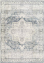 Surya Erin Ern-2318 Silver, Light Grey, Light Silver, Metallic - Silver, Pewter Rug.