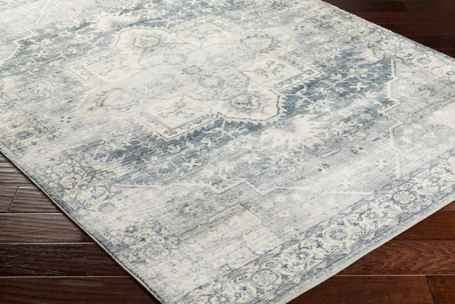 Surya Erin Ern-2318 Silver, Light Grey, Light Silver, Metallic - Silver, Pewter Rug.