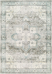 Surya Erin Ern-2319 Silver, Light Grey, Light Silver, Metallic - Silver, Pewter Area Rug