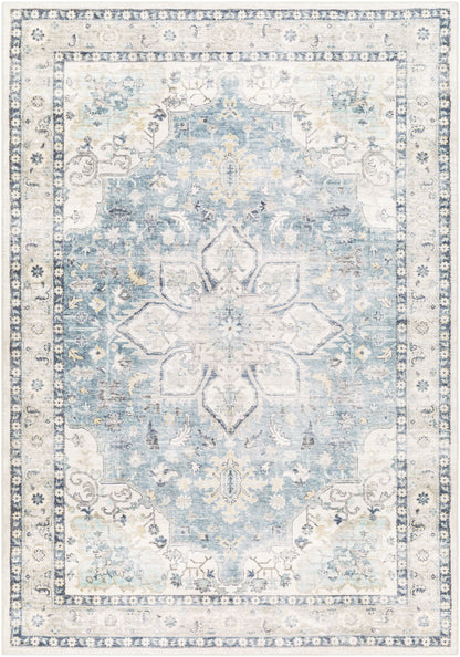 Surya Erin Ern-2320 Off-White, Light Silver, Light Grey, Slate, Silver, Metallic - Silver Area Rug