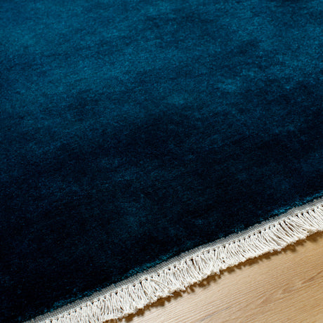 Surya Evergreen Evg-2311 Midnight Blue, Marine Blue Rug.