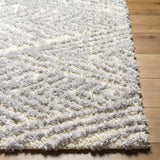 Surya Everton Plus Evp-2305 Light Gray, Gray Rug.