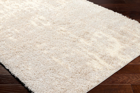 Surya Everton Plus Evp-2311 Ivory, Light Beige Rug.