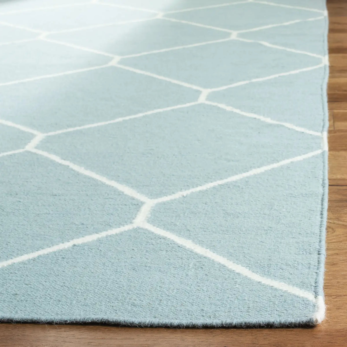 Safavieh Dhurries 4'-0" x 6'-0" Rug in Light Blue / Ivory