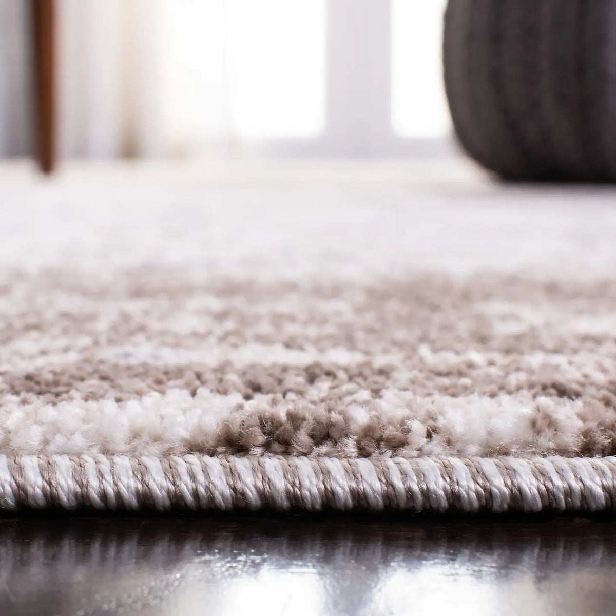 Safavieh Aston 4'-0" x 6'-0" Rug in Ivory / Grey