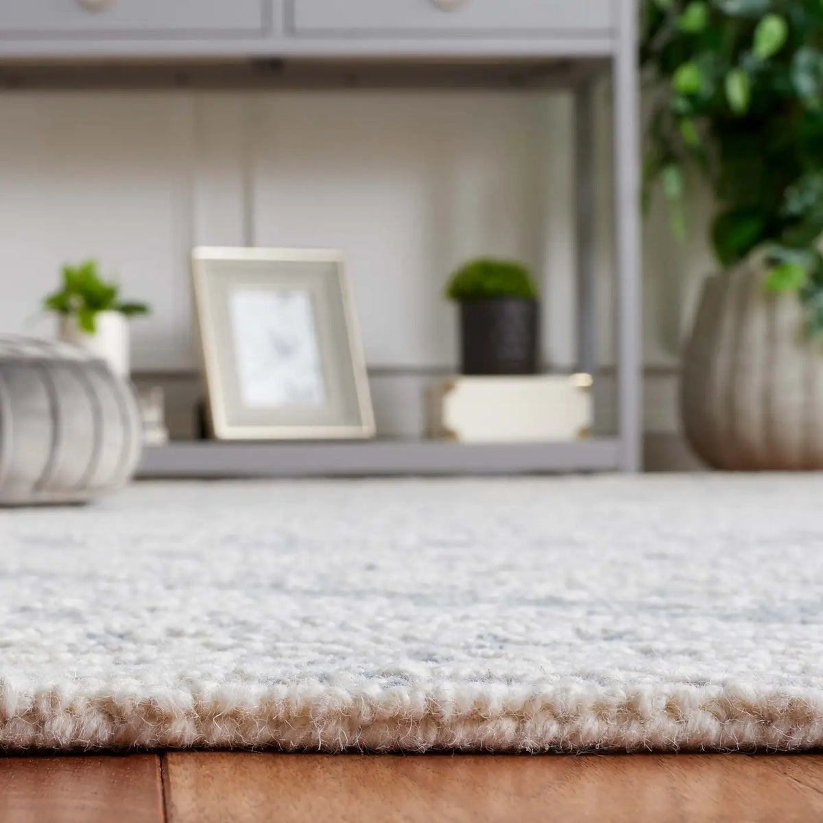 Safavieh Ebony 4'-0" x 6'-0" Rug in Grey / Ivory