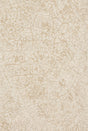 Loloi Juneau Jy-03 Ant Ivory / Beige Rugs - main flat