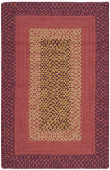 Safavieh Braided 2'-6" x 4'-0" Rug in Multi