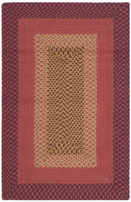 Safavieh Braided 2'-6" x 4'-0" Rug in Multi