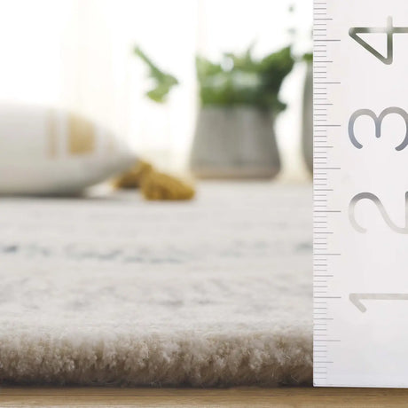 Safavieh Soho 4'-0" x 6'-0" Rug in Ivory / Grey
