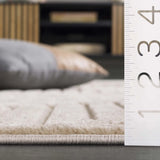 Safavieh Selena 4'-0" x 6'-0" Rug in Beige
